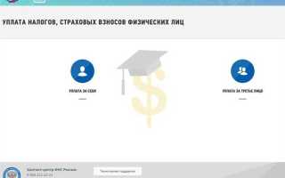 Когда плательщик и носитель налога одно лицо