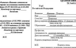 Диплом бакалавра как внести запись об образовании в трудовую книжку