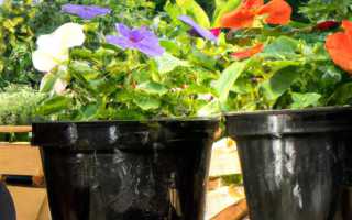 Садоводство и огородничество в чем разница