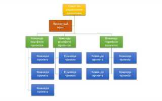 В структуре органов управления какого кооператива имеется директор