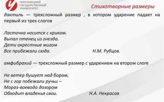 Какие произведения являются общественным достоянием