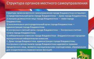 Чем должны заниматься органы местного самоуправления