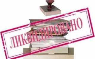 Запрет на ликвидацию юридического лица как обеспечительная мера