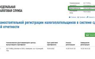 Ифнс мри место подачи декларации по ндс как узнать