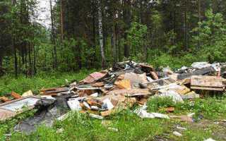 Незаконная свалка мусора куда обращаться