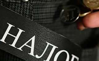 Чем прогрессивная система налогообложения отличается от пропорциональной