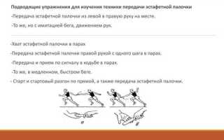 Сколько этапов эстафеты имеет право бежать каждый участник эстафетного бега