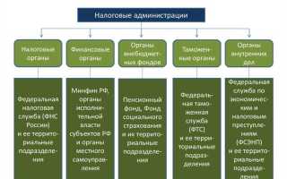 В какой сфере налоговый орган осуществляет надзор