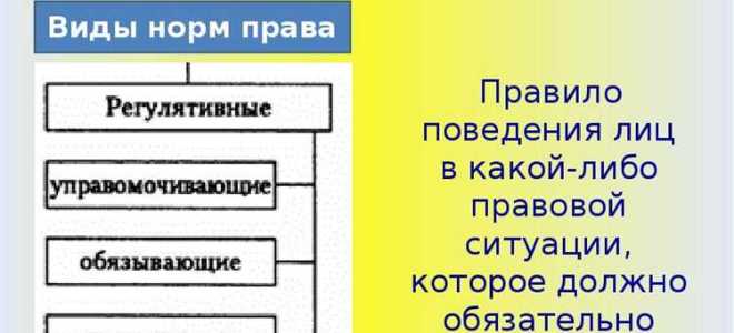 Что такое применение норм права