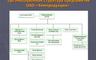 Деятельность головных офисов что это