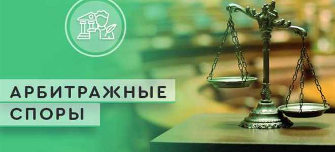 Что такое предмет спора в арбитражном процессе