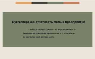 Как заполнять бухгалтерскую отчетность для малых предприятий
