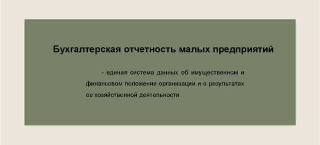 Как заполнять бухгалтерскую отчетность для малых предприятий
