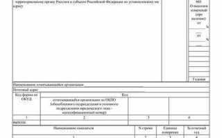 Форма 7 травматизм как заполнять