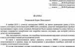 Как попасть на прием к директору школы по личному вопросу