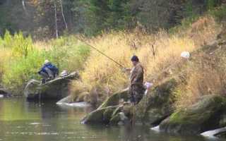 Какой штраф за ловлю сетями