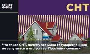 Если ликвидировать снт что будет дальше