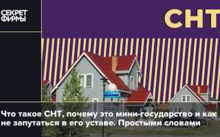 Если ликвидировать снт что будет дальше