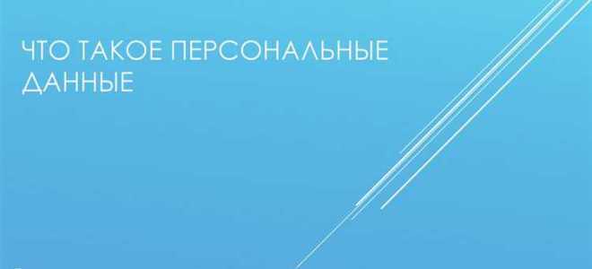 Персональные данные ип что к ним относится