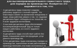 В чем значение дисциплины труда