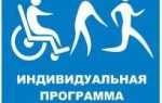 Справка ипр для инвалида где взять