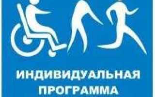 Справка ипр для инвалида где взять