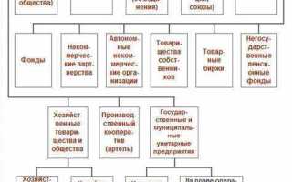 Юрисдикция юридического лица что это