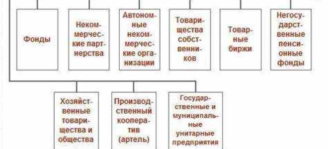 Юрисдикция юридического лица что это
