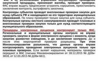Какой орган осуществляет аудит в сфере закупок на федеральном уровне