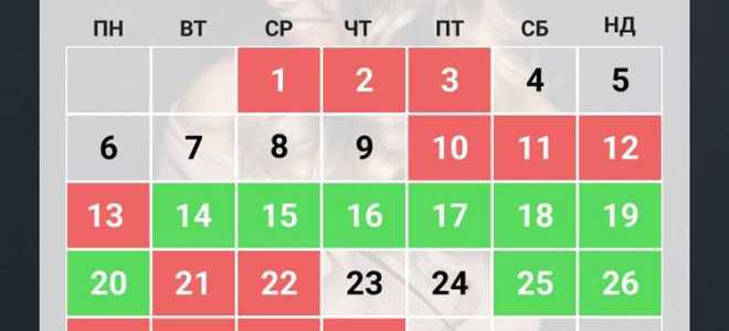 Сколько пятниц в 2023 году