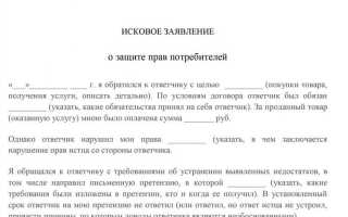 Что такое исковое заявление в суд