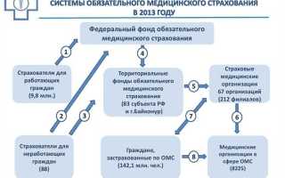 Территориальный фонд обязательного медицинского страхования исключает такой источник как