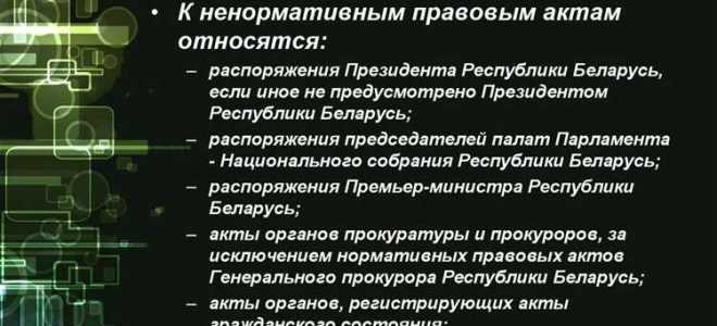 Что такое ненормативный правовой акт
