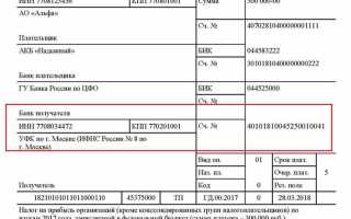 Глава по бк как узнать по инн