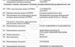 Номер записи в егрюл где посмотреть