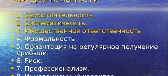 Профессионализм как признак предпринимательской деятельности