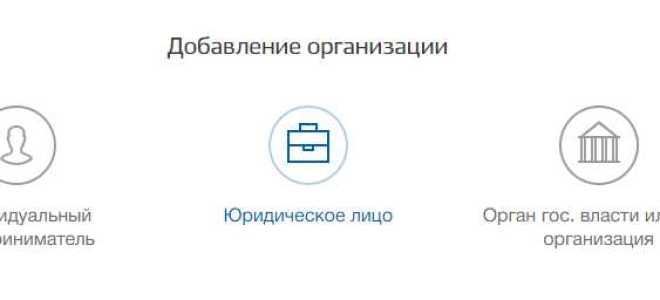 Как зарегистрировать ооо на госуслугах
