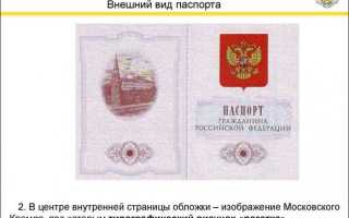 Как проверить справку на подлинность