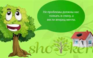 Если второй собственник не платит коммунальные платежи что делать