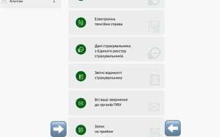 Как посмотреть выплатное дело в пенсионном фонде онлайн