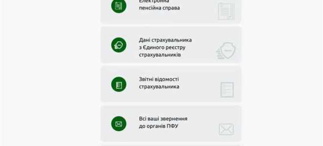 Как посмотреть выплатное дело в пенсионном фонде онлайн
