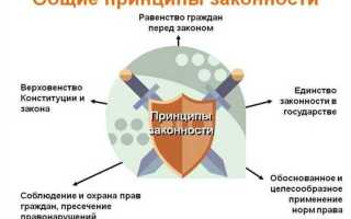 Правовая норма и закон соотносятся между собой как
