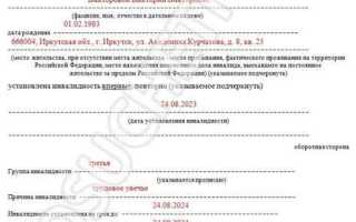 Решение мсэ об инвалидности как узнать