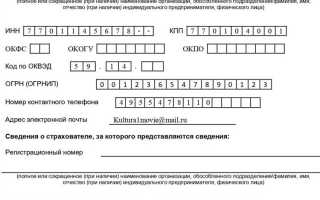 Какой страховой номер указывать в ефс 1