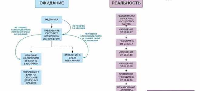 Недоимка и задолженность по налогам в чем разница