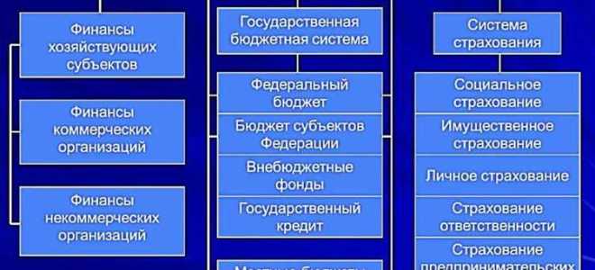 Подушевое финансирование в здравоохранении что это