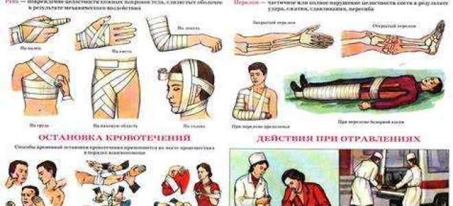 Кто обязан оказывать первую помощь из перечисленных категорий лиц