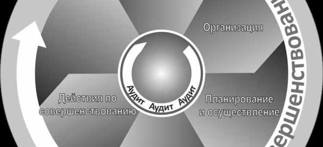 Кто устанавливает структуру и порядок функционирования суот