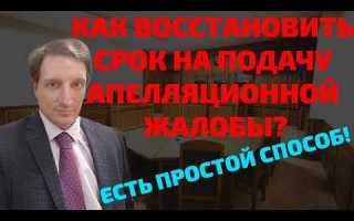 Как арбитражный суд апелляционной инстанции должен рассмотреть ходатайство истца