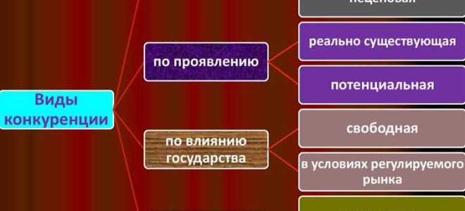 Соперничество хозяйствующих субъектов при котором самостоятельными действиями каждого из них